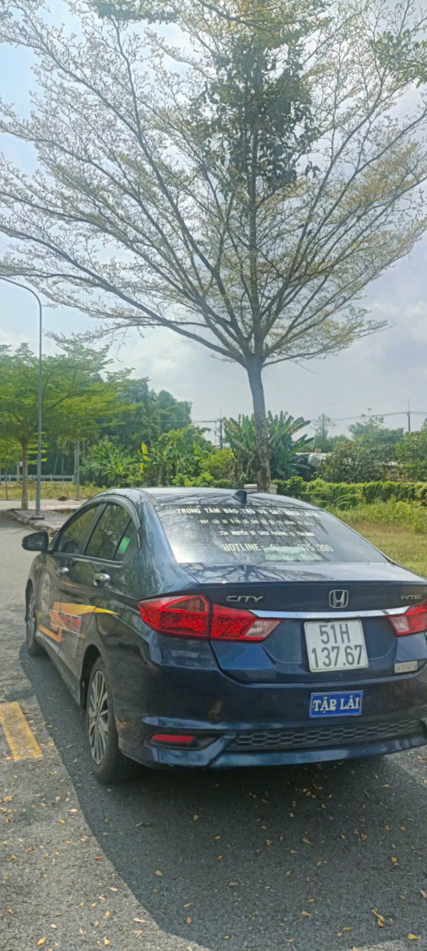 hoc-thi-bang-lai-xe-oto-hang-b (1)